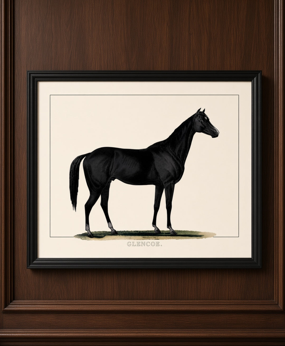 Glencoe Framed Horse Print
