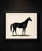 Glencoe Framed Horse Print