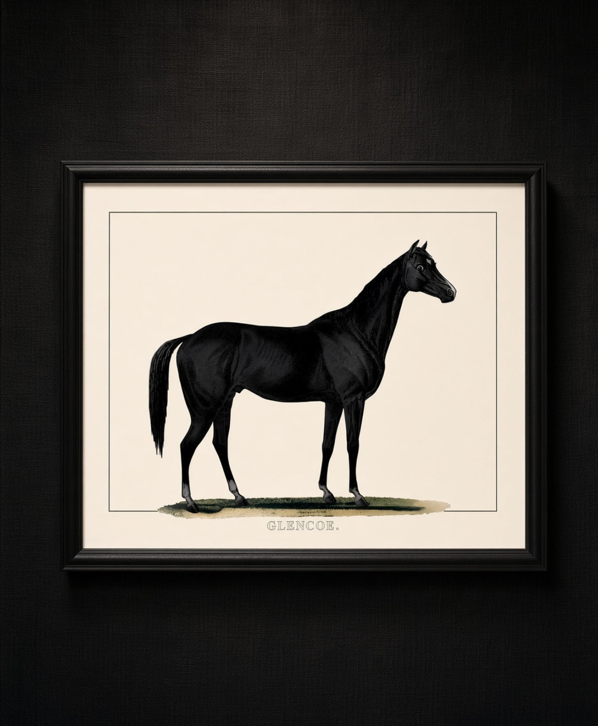 Glencoe Framed Horse Print